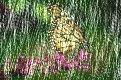 Rain Streak